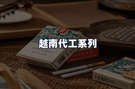 越南代工系列
